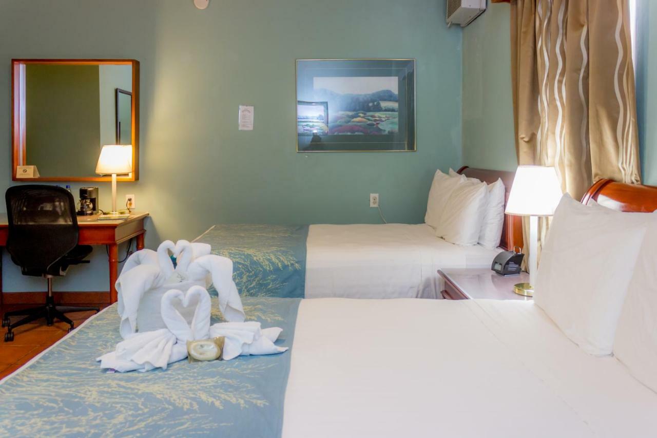 Rolson Hotel ซานอิกนาซิโอ ภายนอก รูปภาพ