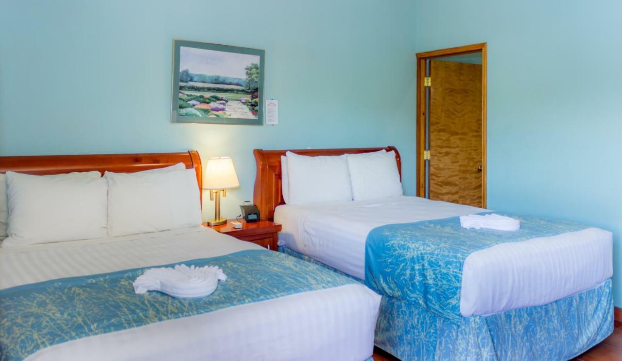 Rolson Hotel ซานอิกนาซิโอ ภายนอก รูปภาพ